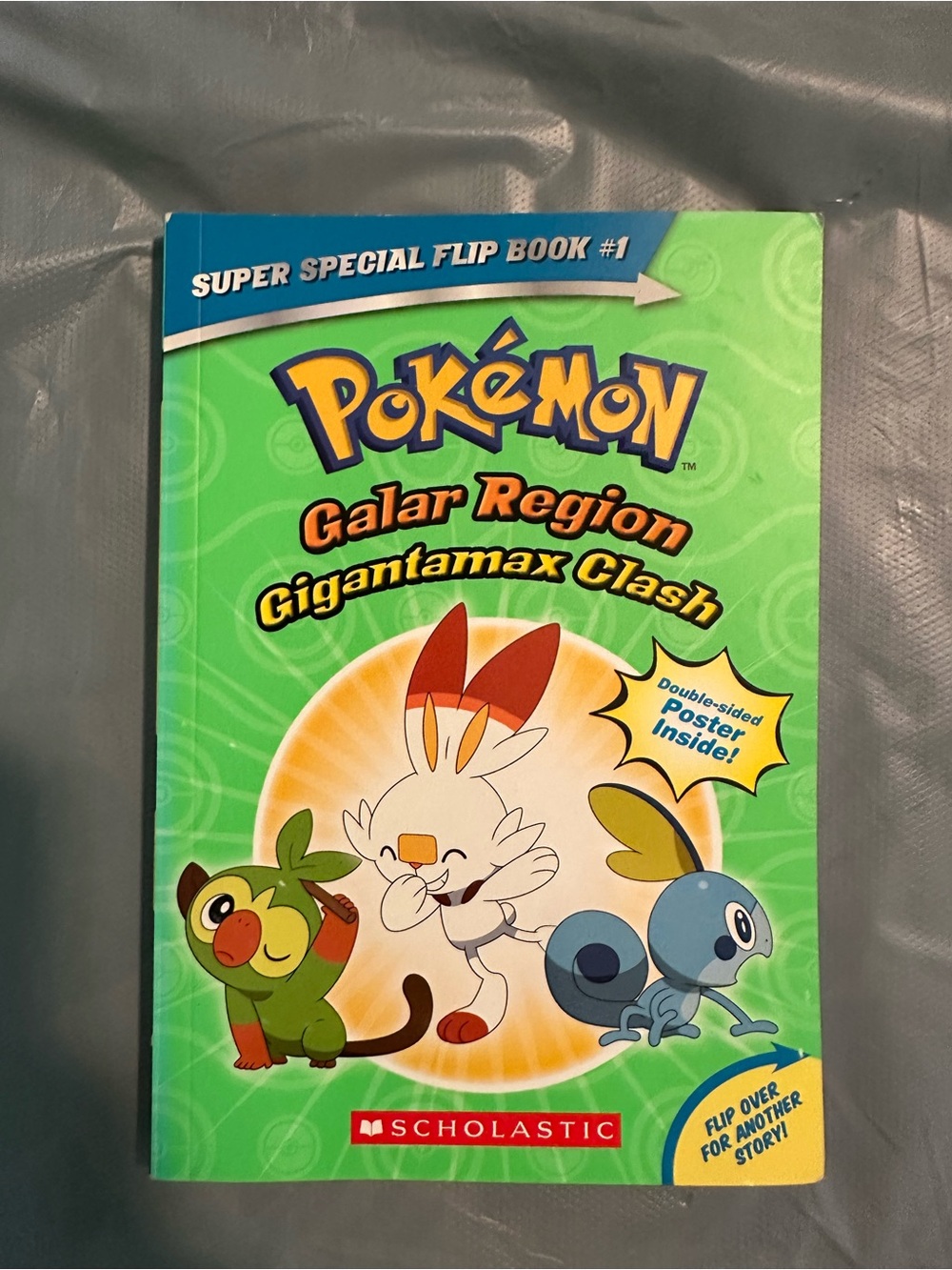 Pokémon Galar Region Alola Region Flip Book
